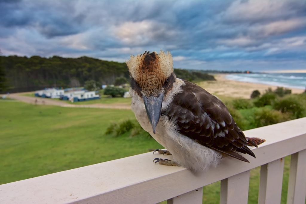 Beachcomber Holiday Park Potato Point エクステリア 写真